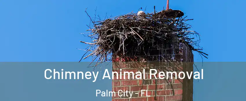 Chimney Animal Removal Palm City - FL