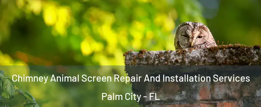  Chimney Animal Screen Repair And Installation Services Palm City - FL