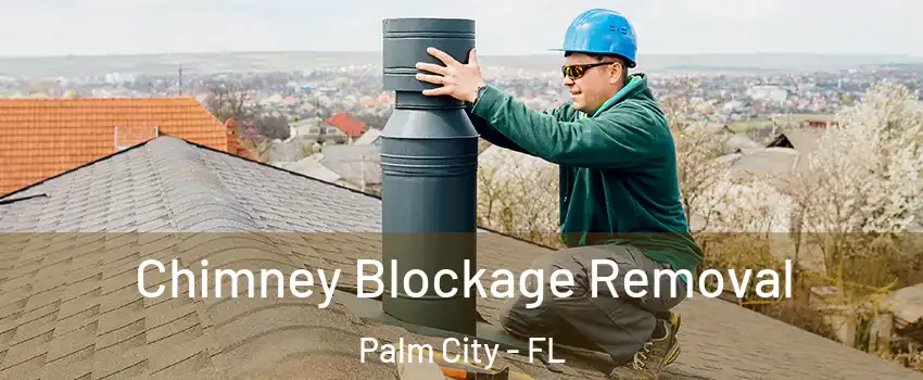  Chimney Blockage Removal Palm City - FL