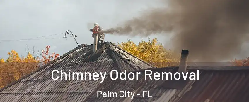  Chimney Odor Removal Palm City - FL