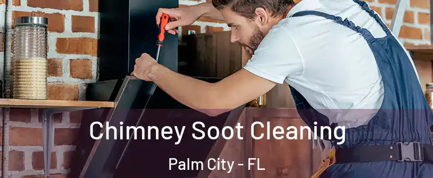  Chimney Soot Cleaning Palm City - FL
