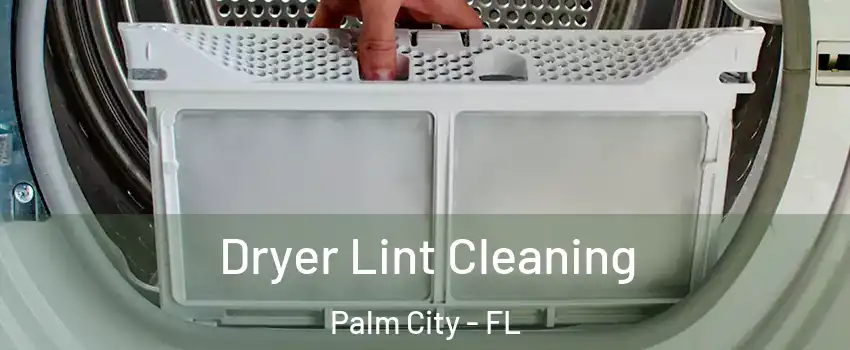  Dryer Lint Cleaning Palm City - FL
