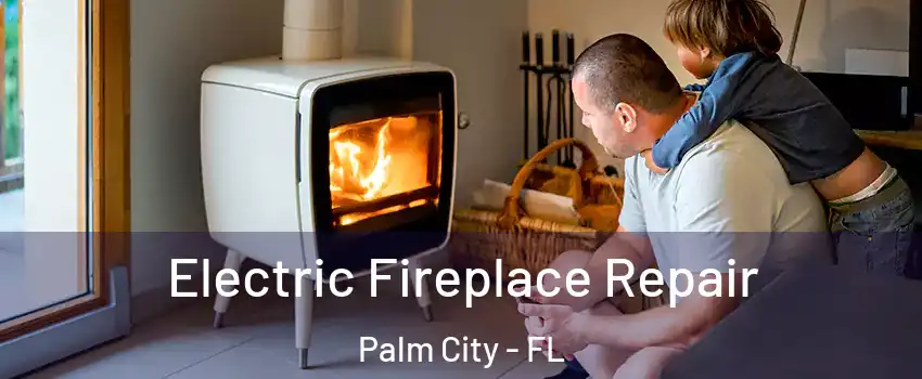  Electric Fireplace Repair Palm City - FL