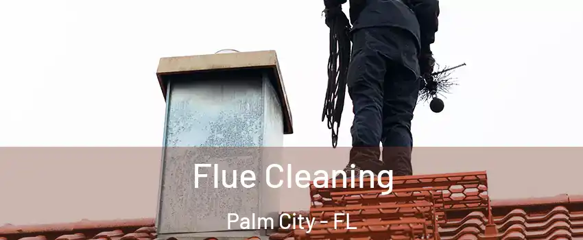  Flue Cleaning Palm City - FL
