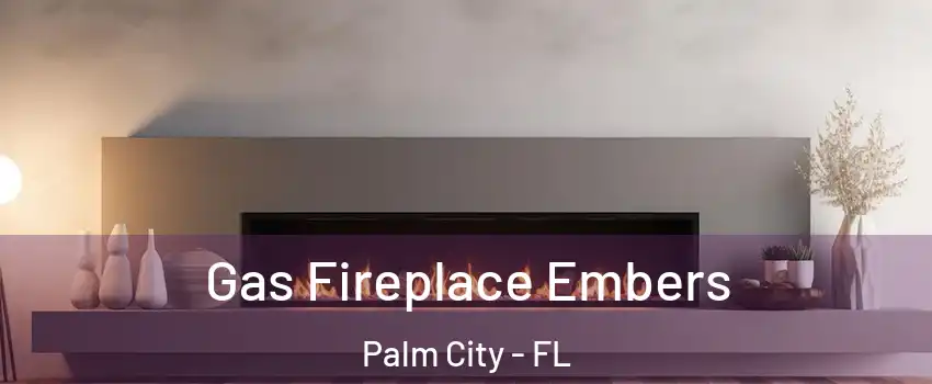  Gas Fireplace Embers Palm City - FL