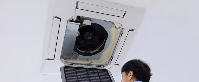 Benefits of Professional Air Duct Cleaning in Palm City, Florida