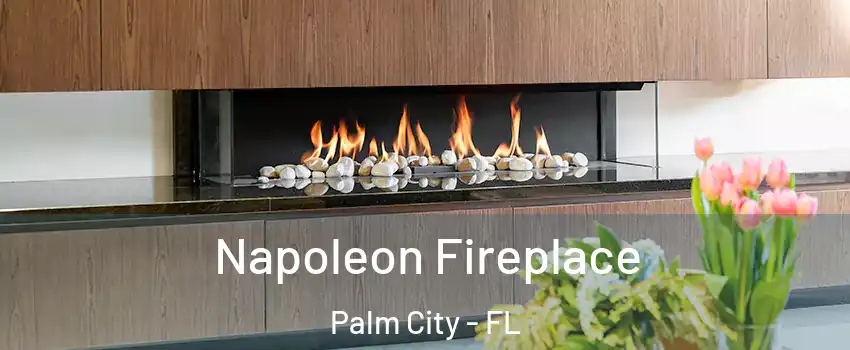  Napoleon Fireplace Palm City - FL