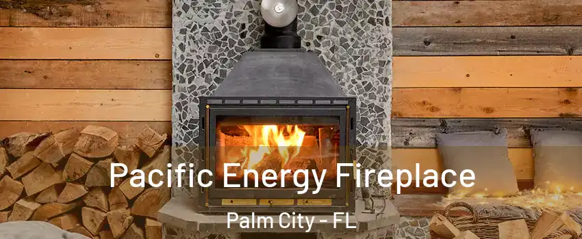  Pacific Energy Fireplace Palm City - FL